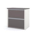 31W 2-Drawer Lateral File Cabinet with Ball-Bearing Slides and Leg Levelers